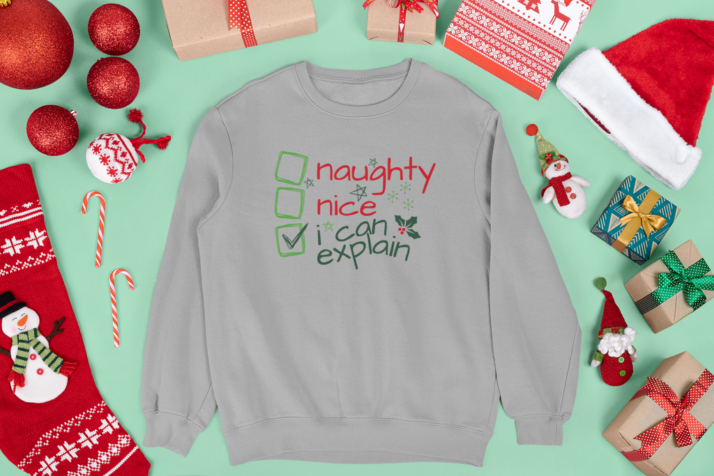 Xmas "I Can Explain' Toddler & Youths T-Shirts and Sweatshirts